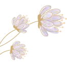 助力中考|阅卷老师一眼惊艳的文化哲思文,你的家乡,就是独一份满分素材库 第4张