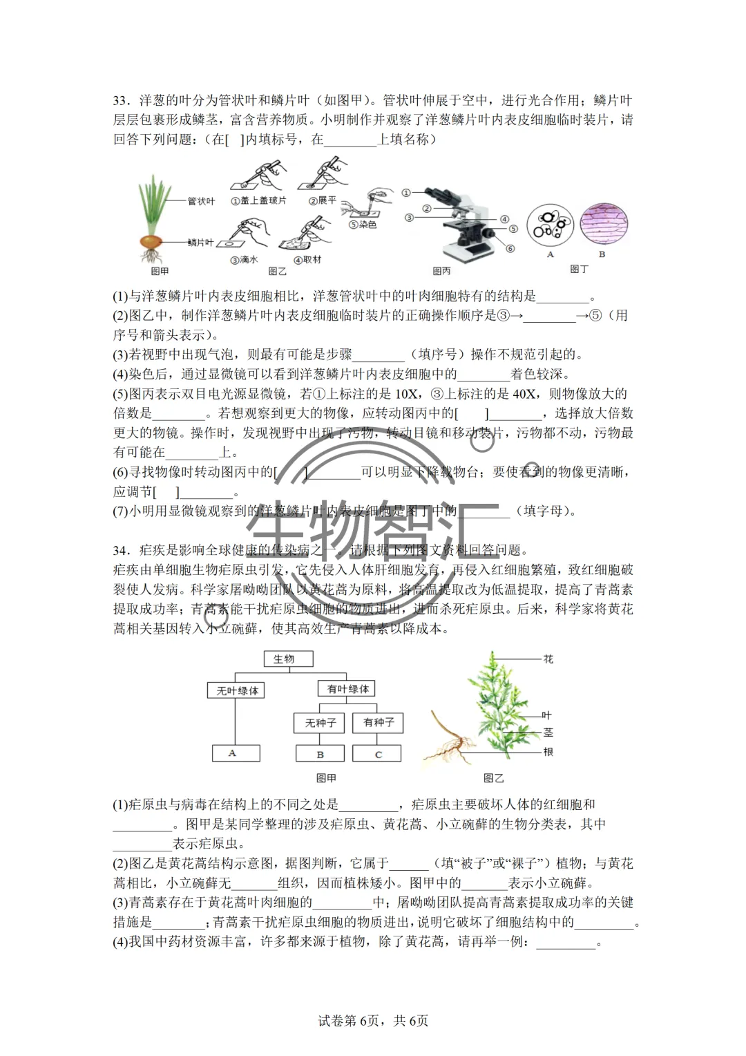 【2026生物中考】四册书四份中考真题汇编题·七上 第16张