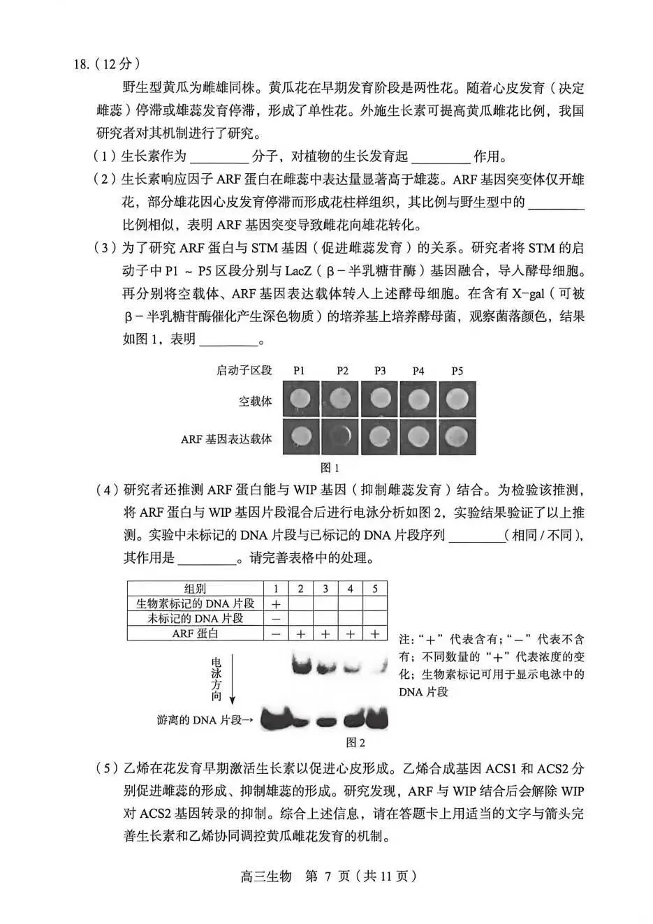 2026【丰台】高三【一模生物】真题试卷+深度分析+命题趋势+备考提分指南 第7张