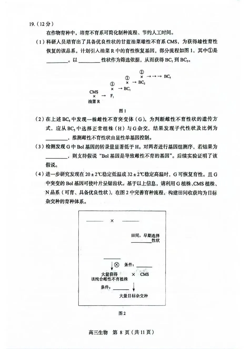 2026【丰台】高三【一模生物】真题试卷+深度分析+命题趋势+备考提分指南 第8张