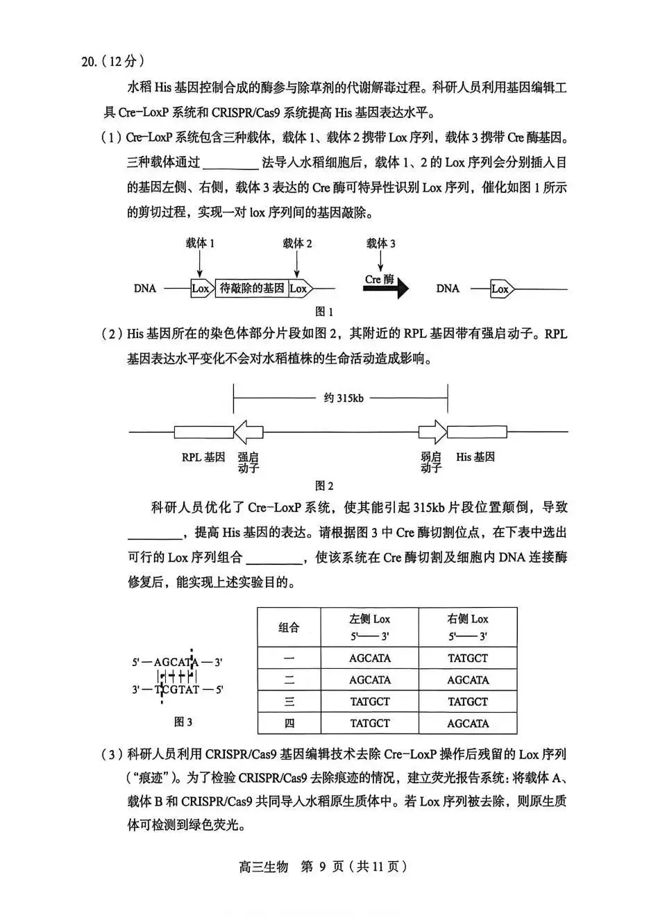 2026【丰台】高三【一模生物】真题试卷+深度分析+命题趋势+备考提分指南 第9张