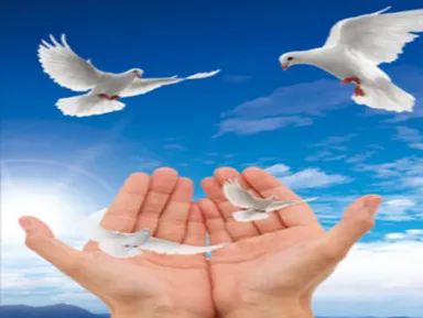 2026年中考道法押题密卷A(1-5) 第17张