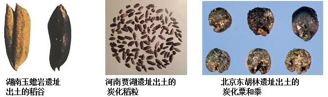 2026年中考历史选择题强化题库100题1(中国古代史) 第2张