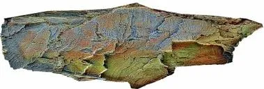 2026年中考历史选择题强化题库100题1(中国古代史) 第34张