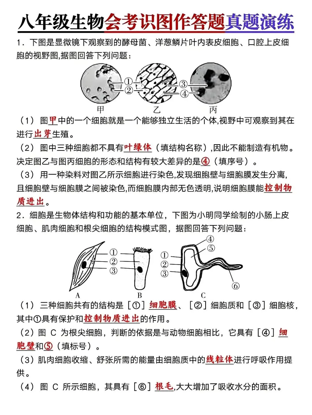 八年级下册生物:会考识图作答题真题演练,孩子查漏补缺的好帮手! 第2张