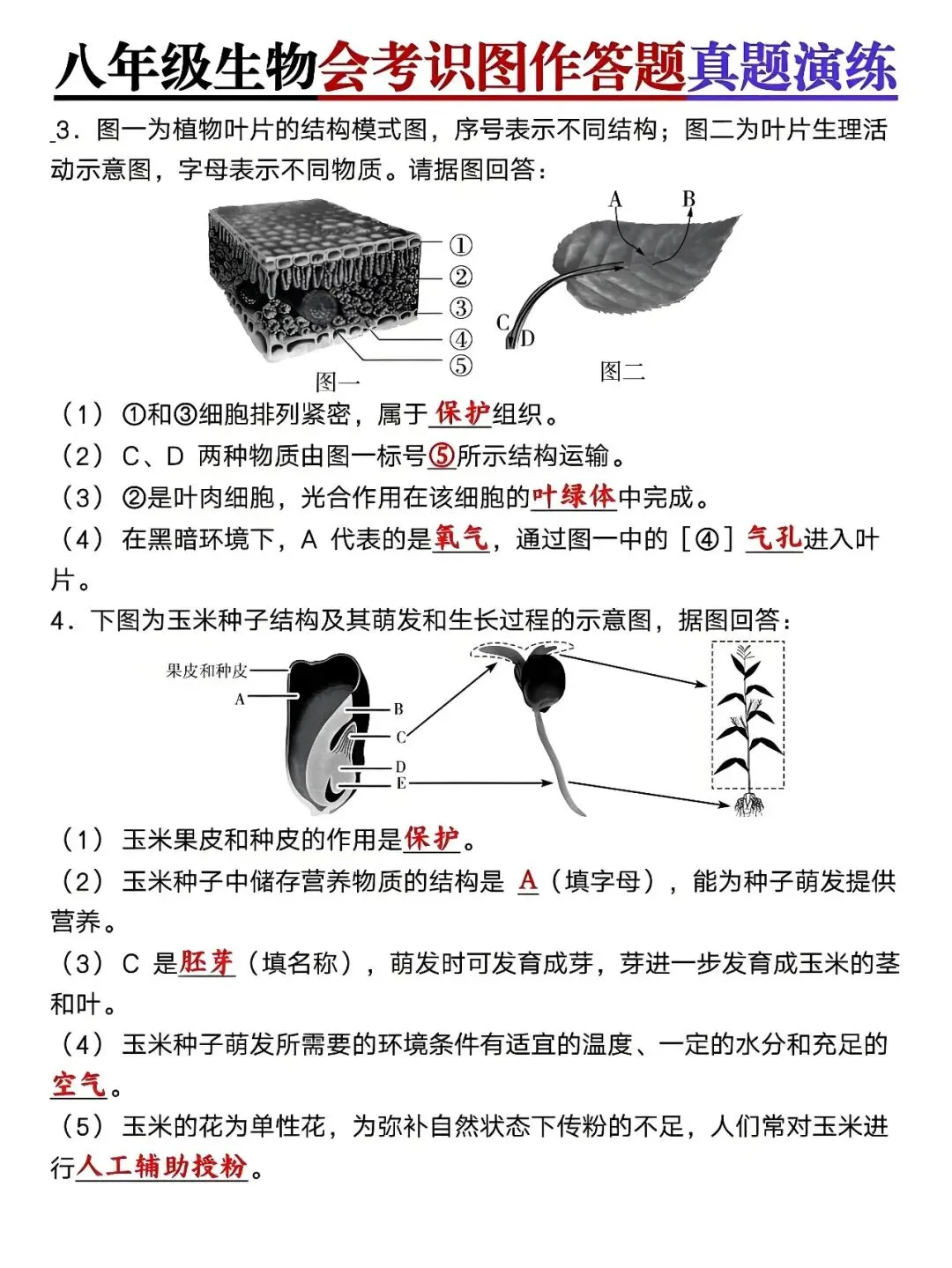 八年级下册生物:会考识图作答题真题演练,孩子查漏补缺的好帮手! 第3张