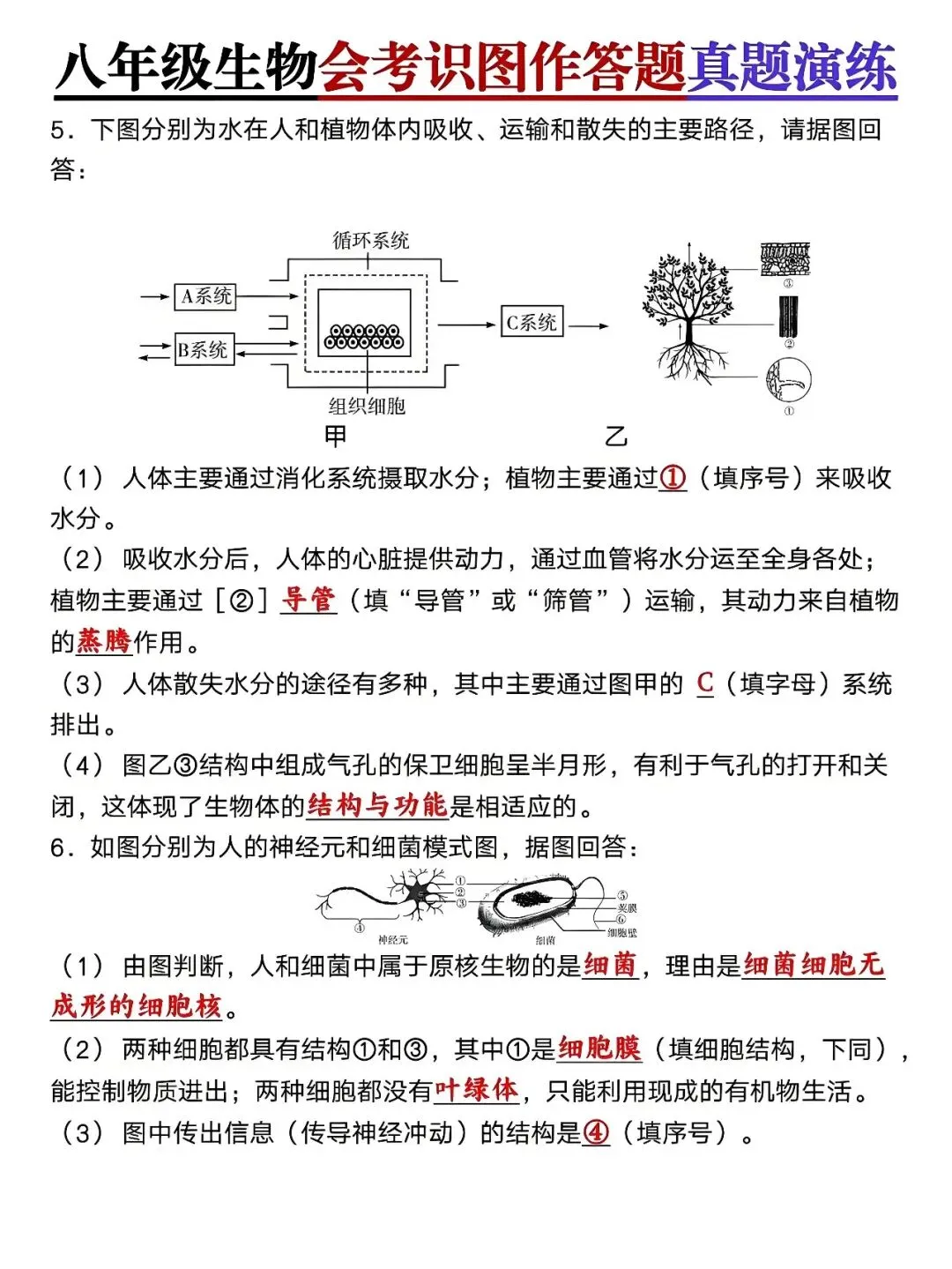 八年级下册生物:会考识图作答题真题演练,孩子查漏补缺的好帮手! 第4张