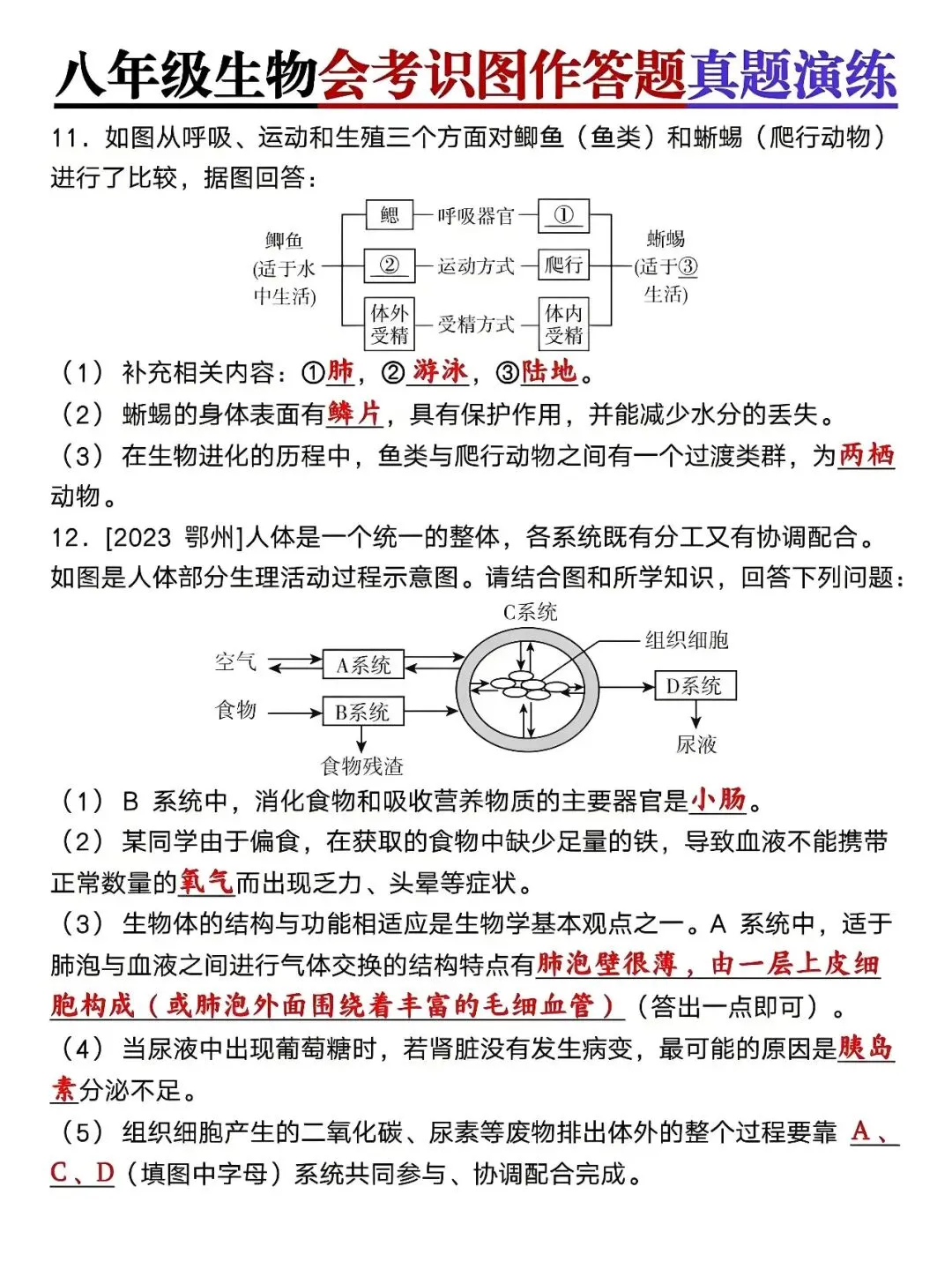 八年级下册生物:会考识图作答题真题演练,孩子查漏补缺的好帮手! 第7张