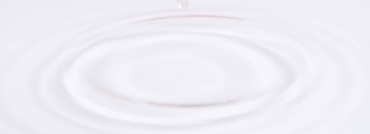 紧盯中考择校!4月4-6日,小长假深度探访肇庆博纳办学实力! 第1张