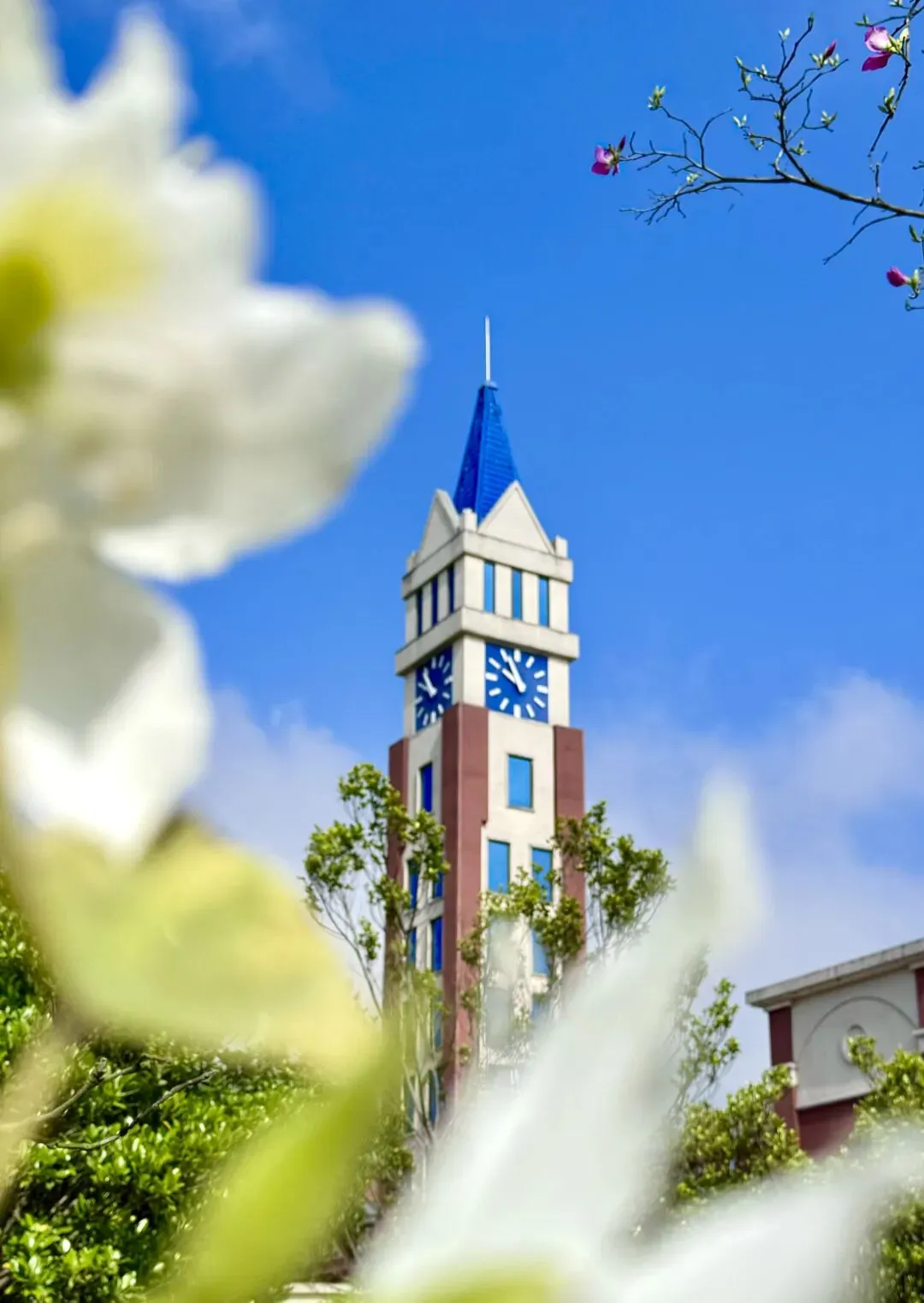 紧盯中考择校!4月4-6日,小长假深度探访肇庆博纳办学实力! 第2张