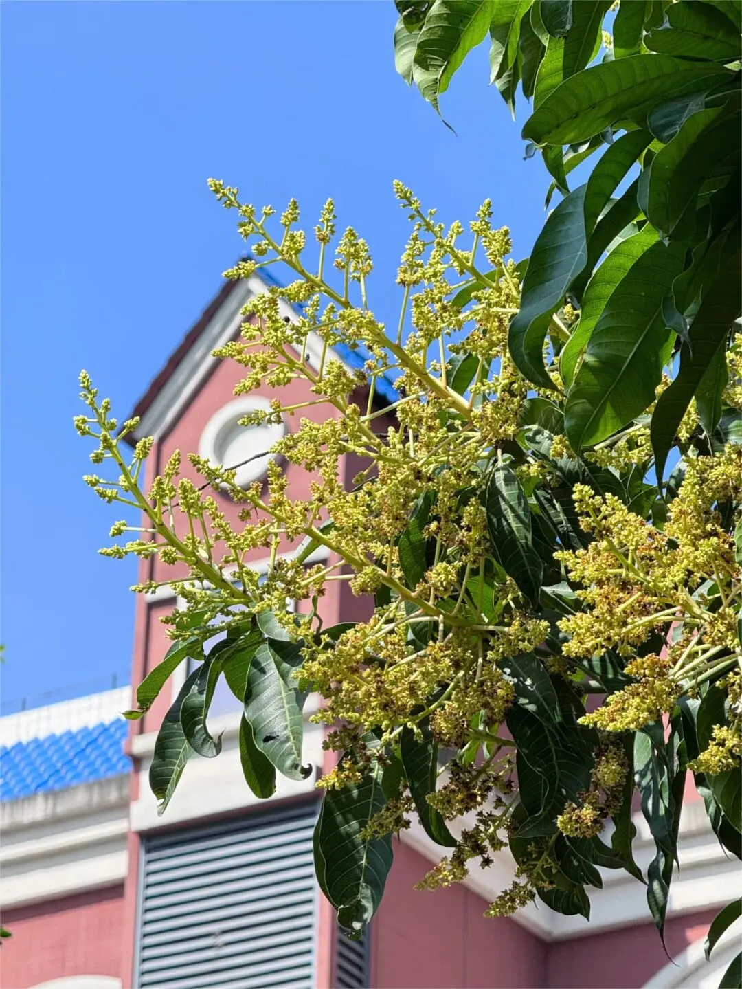 紧盯中考择校!4月4-6日,小长假深度探访肇庆博纳办学实力! 第14张