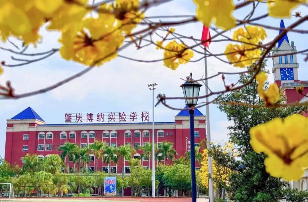 紧盯中考择校!4月4-6日,小长假深度探访肇庆博纳办学实力! 第19张
