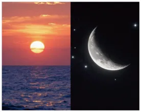 【名校试卷】湖北部分省级示范高中2026高二下学期3月检测试卷(含答案详解) 第1张