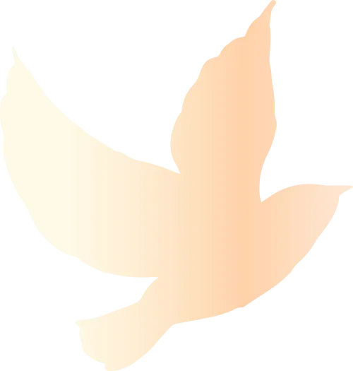 2026年浙江中考全科模拟试卷库持续更新中,含历年模拟卷 第21张