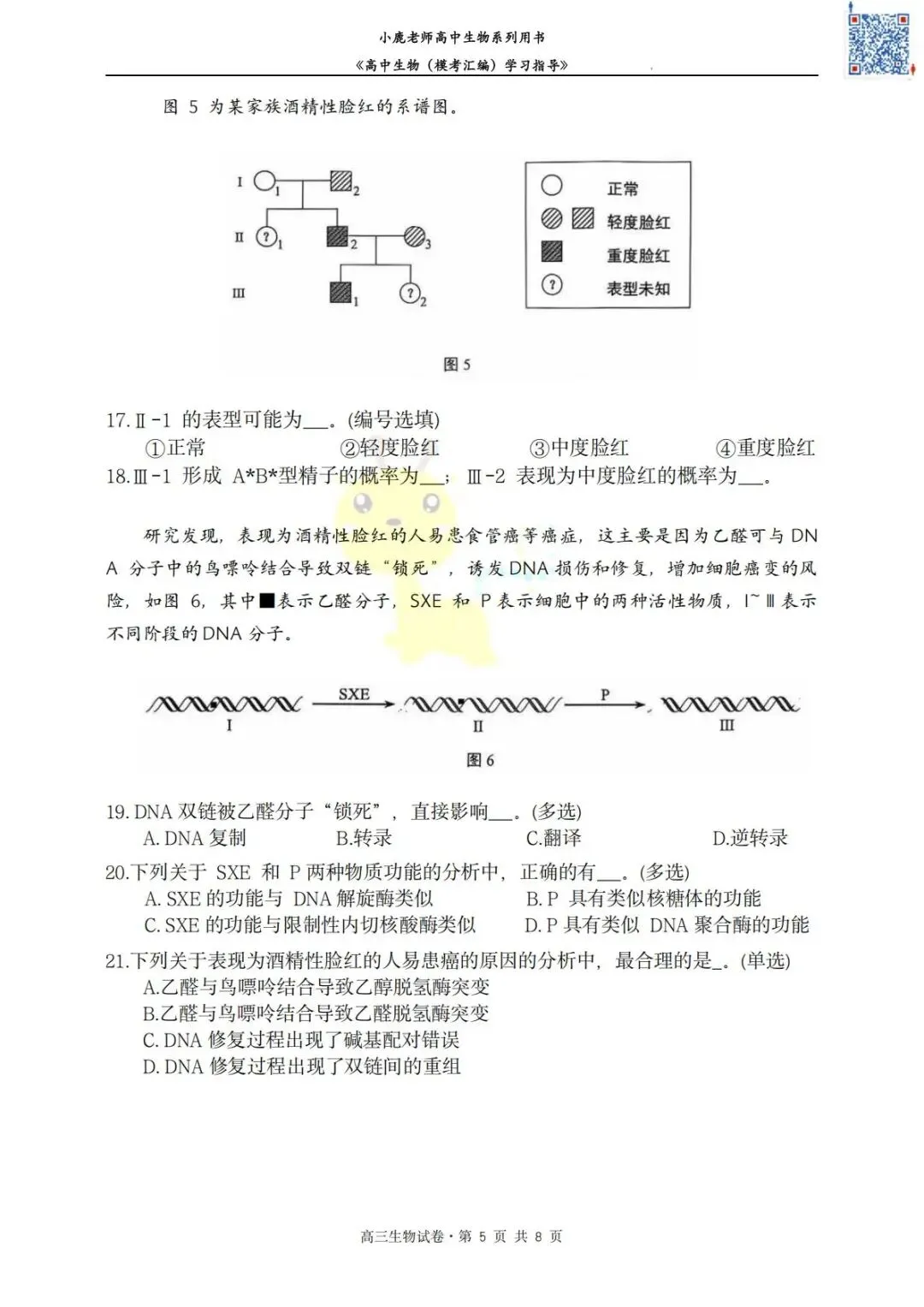 II小鹿生物II2026年静安区二模考试卷分享 第7张
