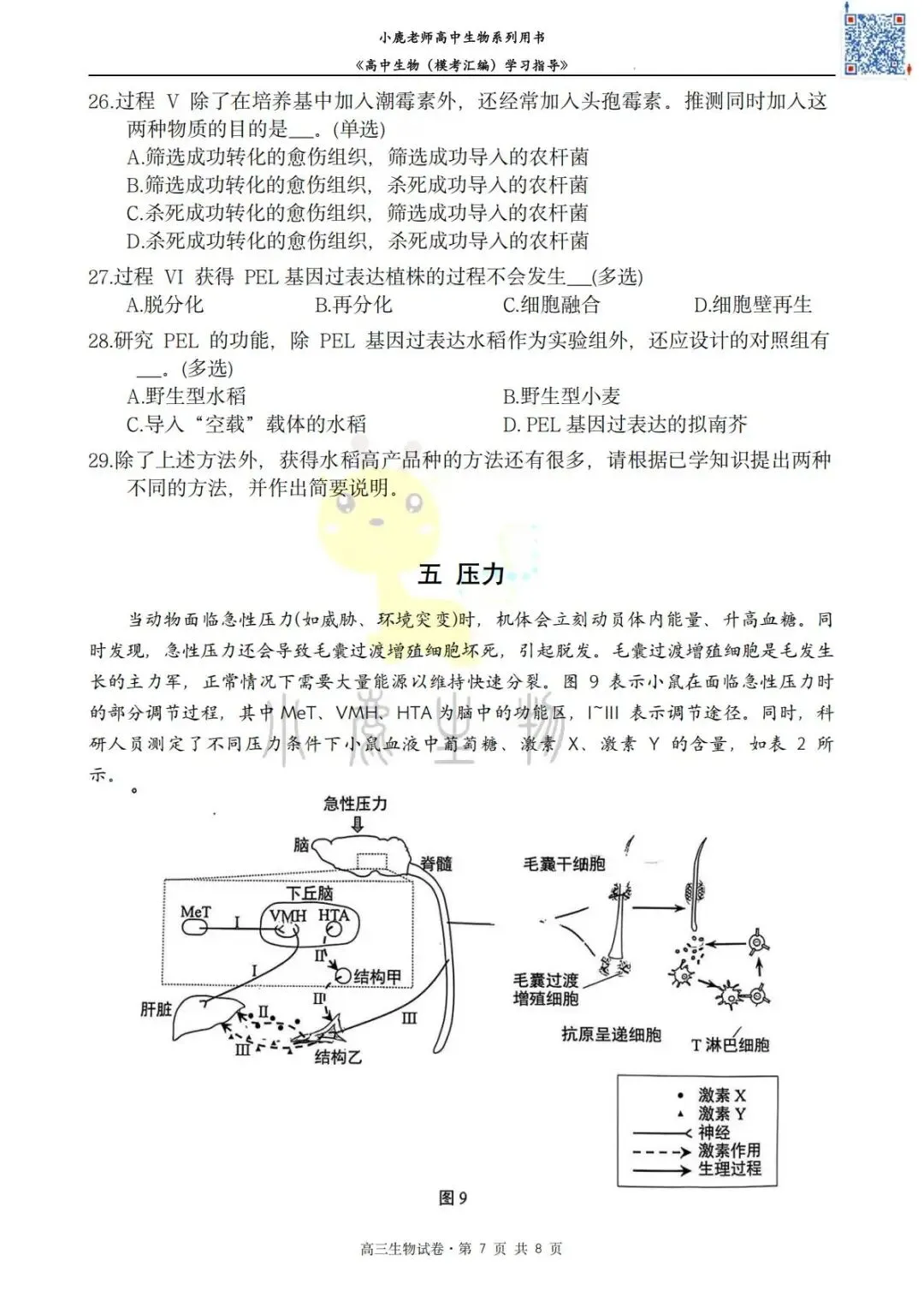 II小鹿生物II2026年静安区二模考试卷分享 第9张