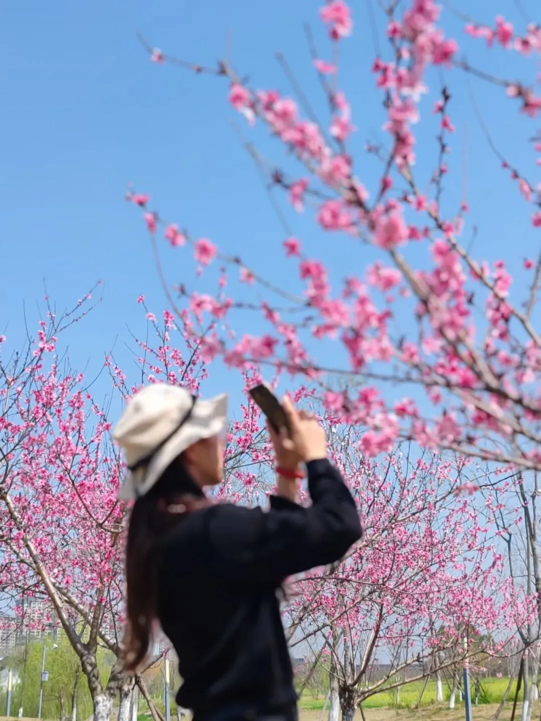 有感|新中考背景下的初中地理教学的转型思考 第14张