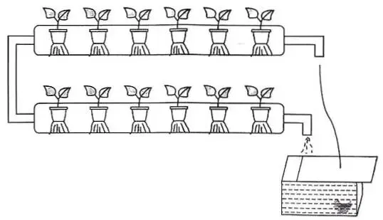 2026年最新教材八年级生物期中模拟卷(考试版),有完整电子版,可打印,建议家长收藏 第6张