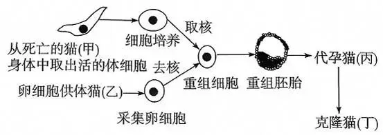 2026年最新教材八年级生物期中模拟卷(考试版),有完整电子版,可打印,建议家长收藏 第9张