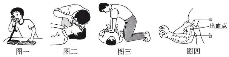 2026年最新教材八年级生物期中模拟卷(考试版),有完整电子版,可打印,建议家长收藏 第13张