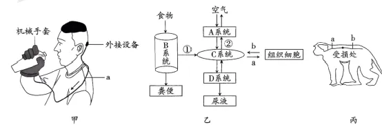 2026年最新教材八年级生物期中模拟卷(考试版),有完整电子版,可打印,建议家长收藏 第20张