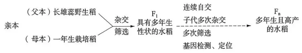 2026年最新教材八年级生物期中模拟卷(考试版),有完整电子版,可打印,建议家长收藏 第22张