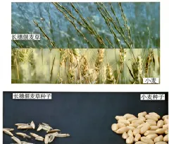 2026年最新教材八年级生物期中模拟卷(考试版),有完整电子版,可打印,建议家长收藏 第23张