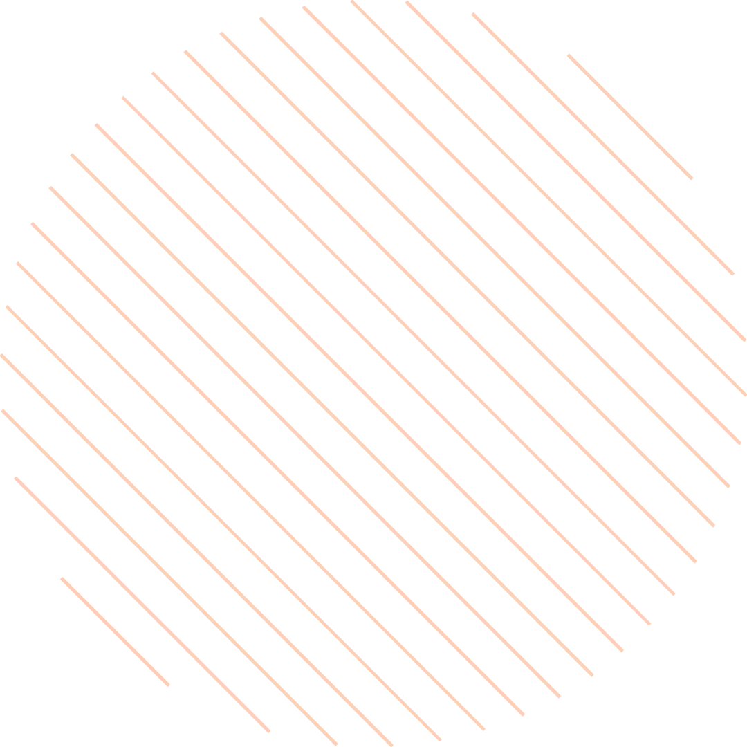 【鲅师校】鲅鱼圈区初中中考复习备考现场观摩研讨会成功举办 第9张