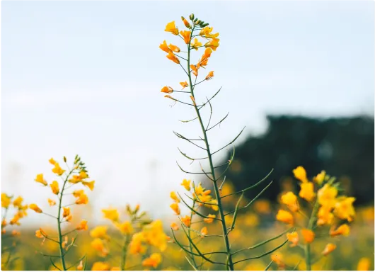 中考倒计时78天:初三娃时不时的情绪问题,我们该怎么接住 第4张