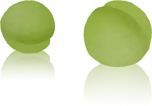 笃行致远无止境 同心逐梦赢中考 第4张