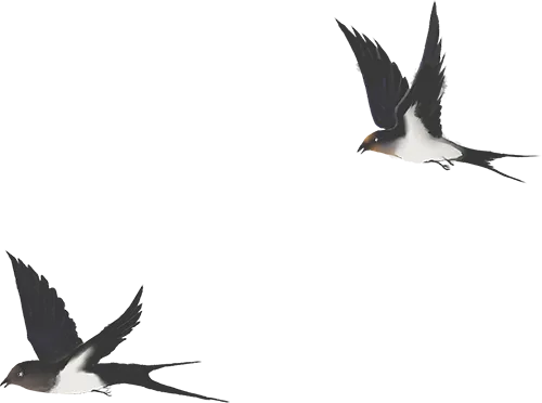 笃行致远无止境 同心逐梦赢中考 第74张