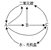 2026年初中生物中考八上你复习好了吗?给你送上一份精准复习资料. 第3张