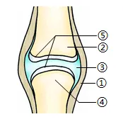 2026年初中生物中考八上你复习好了吗?给你送上一份精准复习资料. 第4张