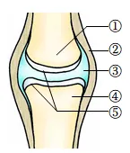 2026年初中生物中考八上你复习好了吗?给你送上一份精准复习资料. 第5张