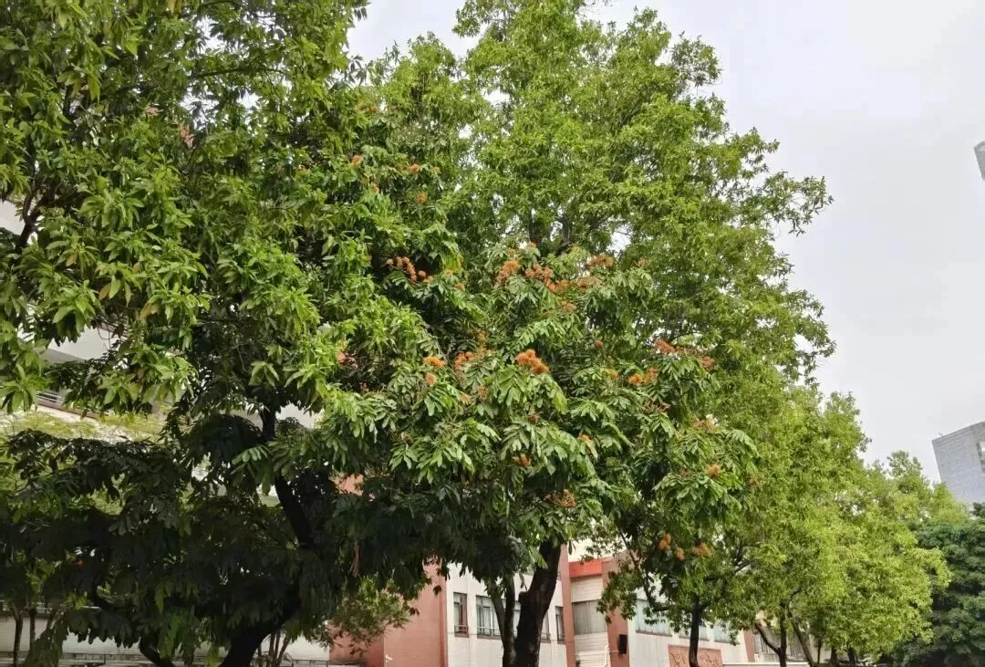 中考助力站 | 爸妈永远是你的温暖大后方 第3张 中考助力站 | 爸妈永远是你的温暖大后方 第3张