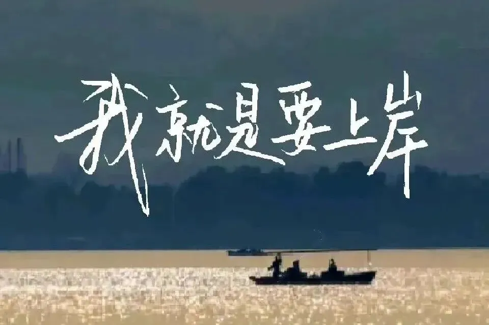 真题暖研164丨2020X164 第2张