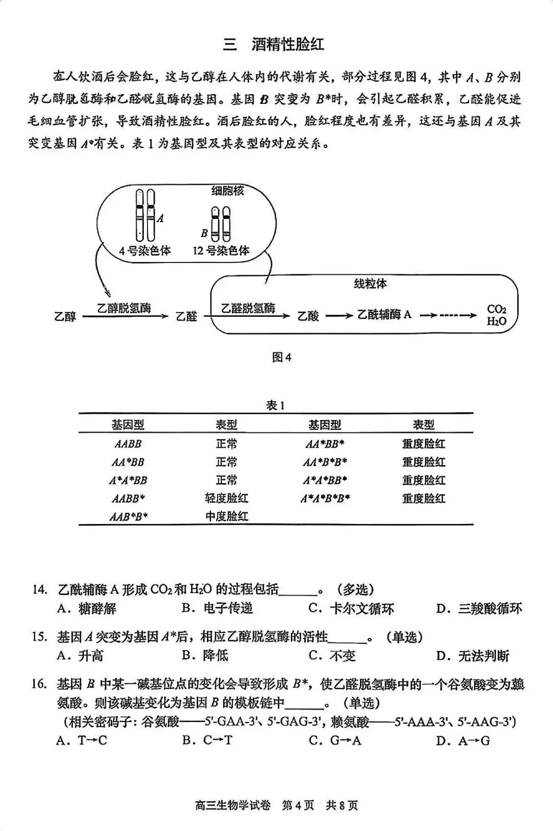 2026届最新的高三二模试卷分享! 第65张 2026届最新的高三二模试卷分享! 第65张