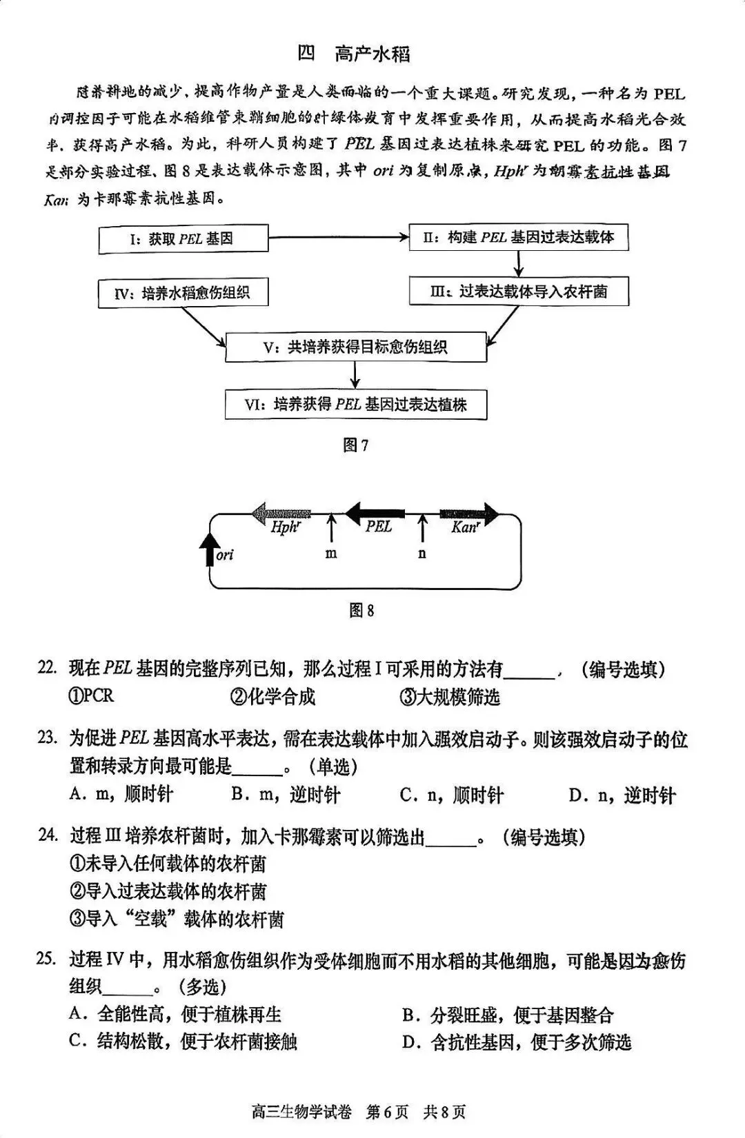 2026届最新的高三二模试卷分享! 第67张 2026届最新的高三二模试卷分享! 第67张