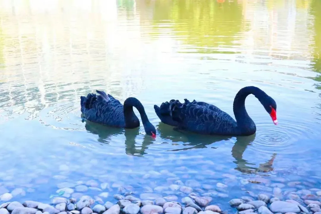 B1B2C1中考高考口语练习 第2张