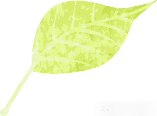 中考倒计时!全科备考指南,告别盲目复习 第16张