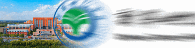 研途逐光 蓄力中考 | 全区中考教研盛会在我校顺利开展 第1张