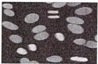 2023年检验师《专业知识》真题 第3张