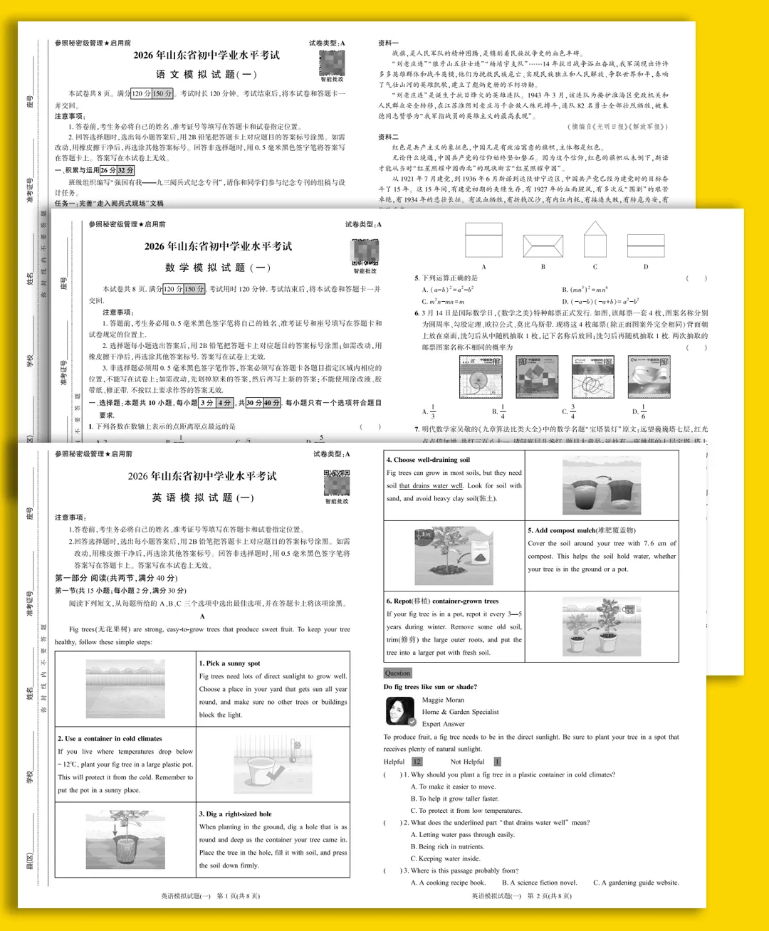 2026山东中考全科模拟卷~ 第14张 2026山东中考全科模拟卷~ 第14张
