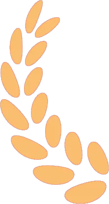 济南 2026 中考政策重磅发布!考试时间、分值、报名等家长最关心的信息都在这 第2张 济南 2026 中考政策重磅发布!考试时间、分值、报名等家长最关心的信息都在这 第2张