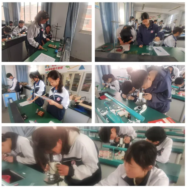 实操砺技 备战中考---焦作七中全力开展中考理化生实验专项训练 第9张