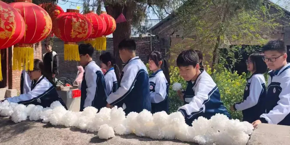 实操砺技 备战中考---焦作七中全力开展中考理化生实验专项训练 第20张