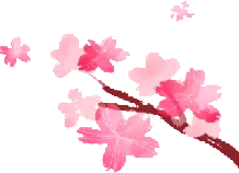 助力中考 || 师生寄语 第2张