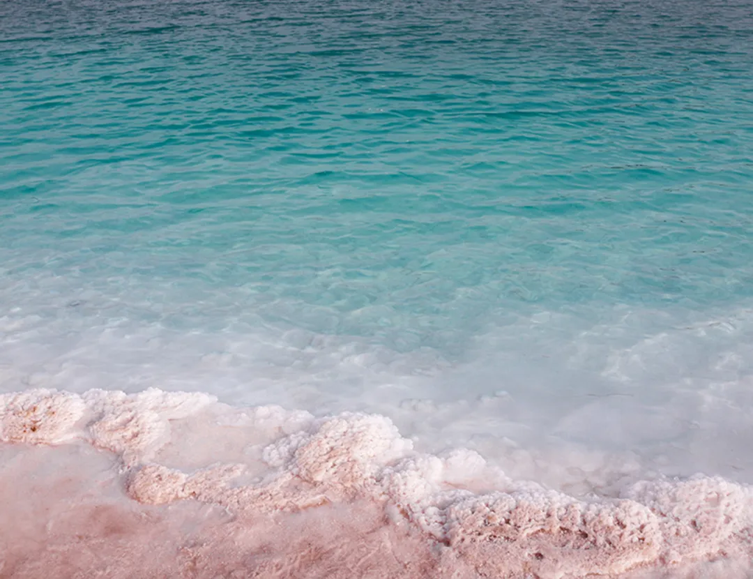 【夏老师阅读与表达】八下语文期末试卷分享(上) 第2张