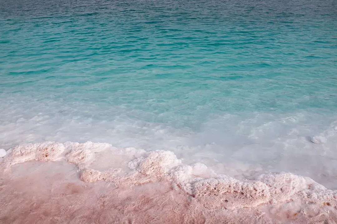 【夏老师阅读与表达】八下语文期末试卷分享(上) 第11张