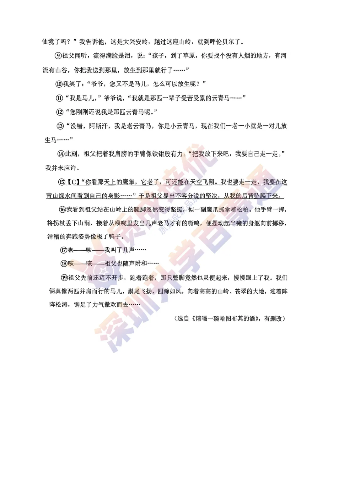 2026深中一模语文真题+解析 第8张